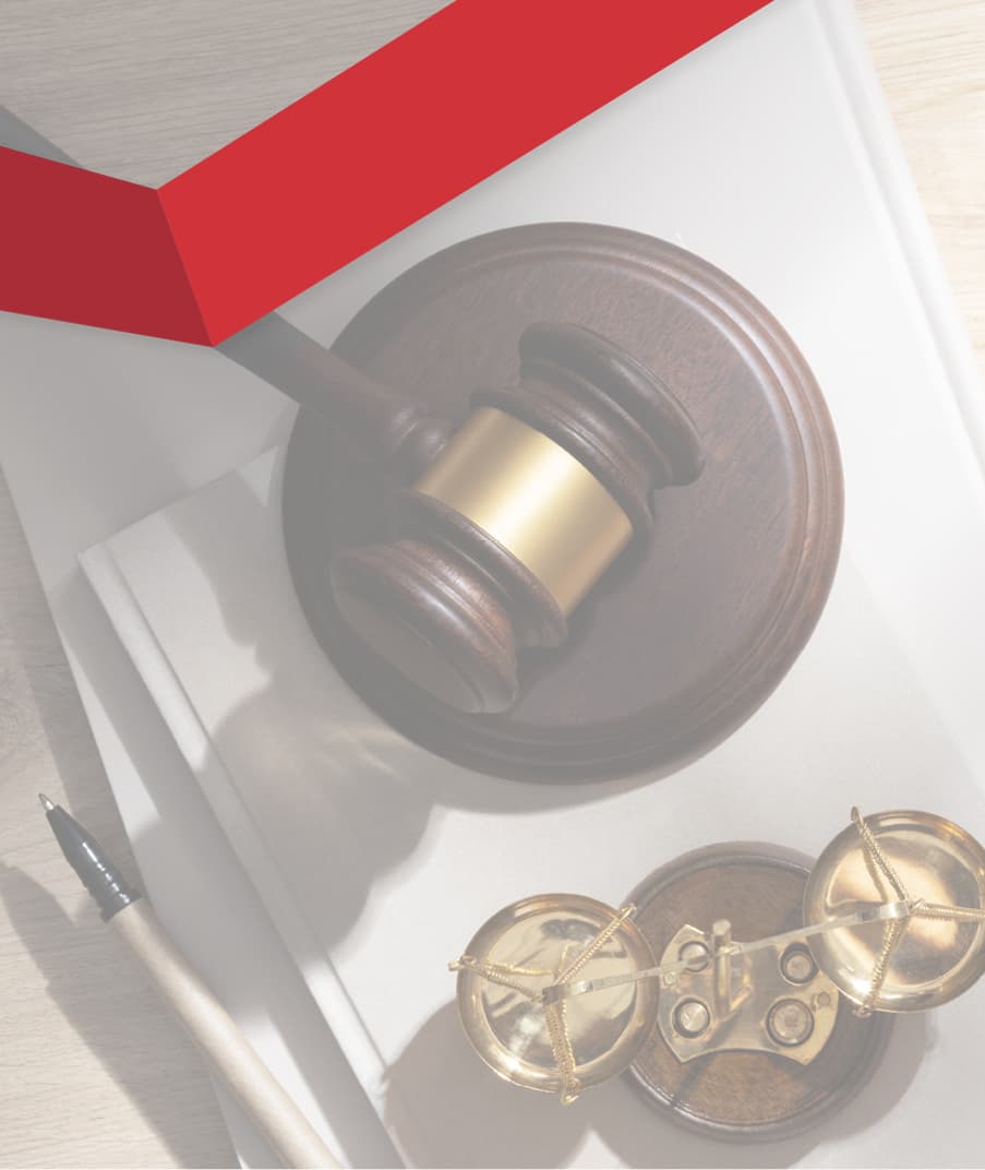 Servicios especializados